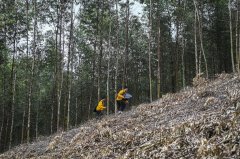 铁路线边的“捕风者”