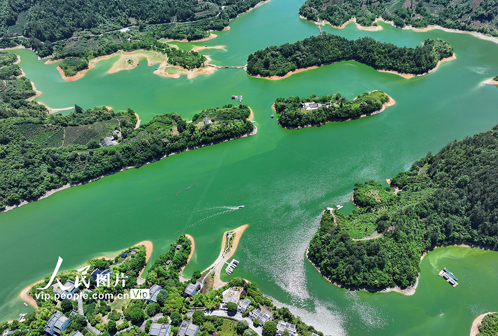 安徽黄山：绿水青山 生态画卷