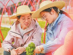 <b> 优选优育，云南咖啡味更香（讲述·弘扬科学家精神）</b>